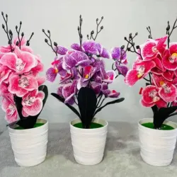 Plantica para decorar, Orquídea