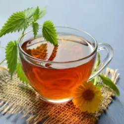 🍃 Té de Menta Poleo 🌿