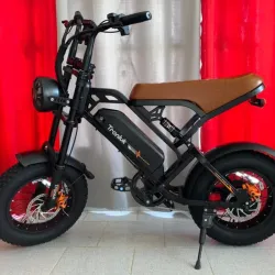 Bicicleta Tronluk