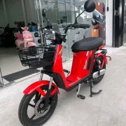 Bicimoto Torvan