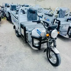 Triciclo ZHUFIN