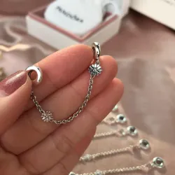 Cierre de Seguridad 🛟