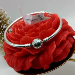 Pulsera Rígida 