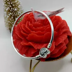 Pulsera Rígida 