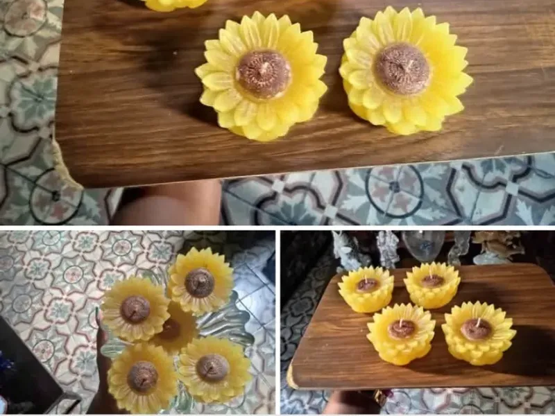 Vela de girasol 