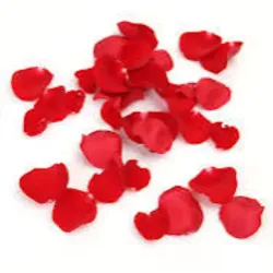 Paquete de 100 pétalos de Rosa 