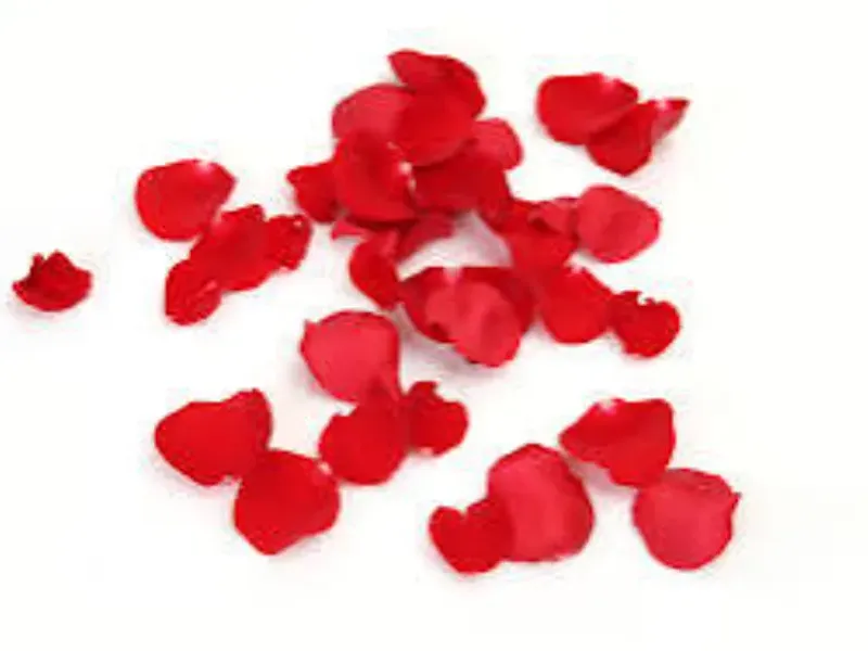 Petalos de Rosa 