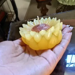 Vela de girasol 