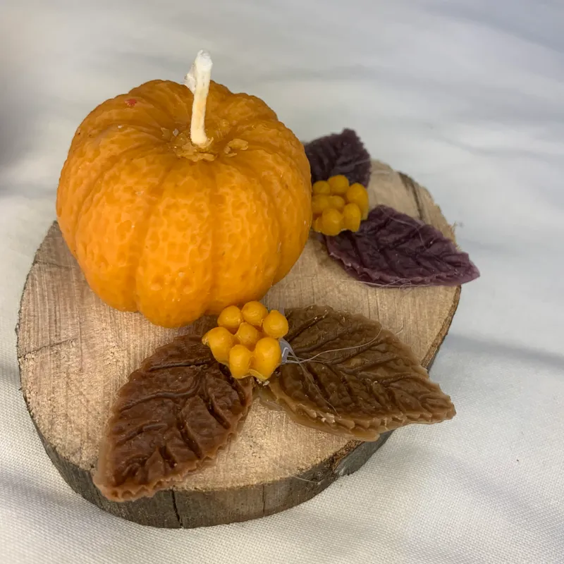 🎃🪵