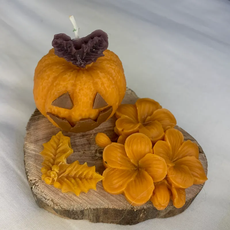🎃🪵