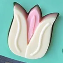 Tulipán 