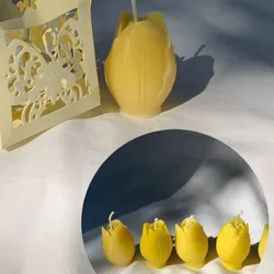 Tulipanes 