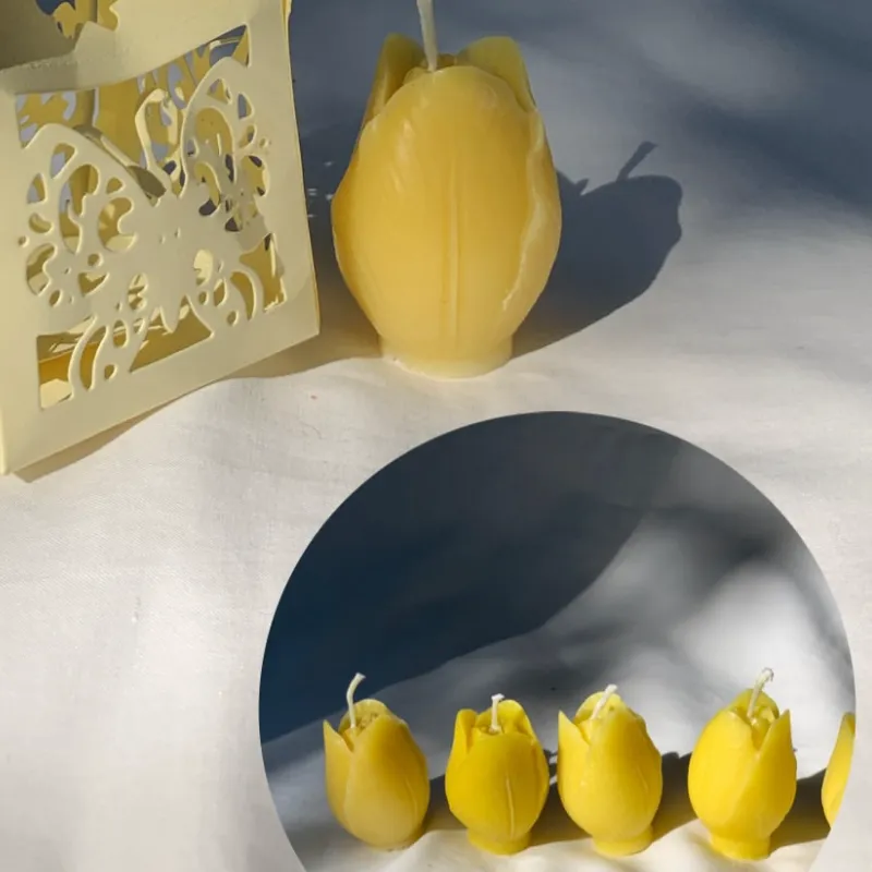 Tulipanes 