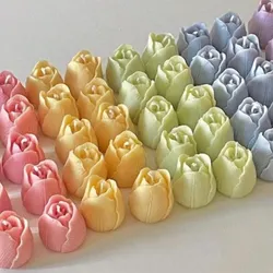 Tulipanes 