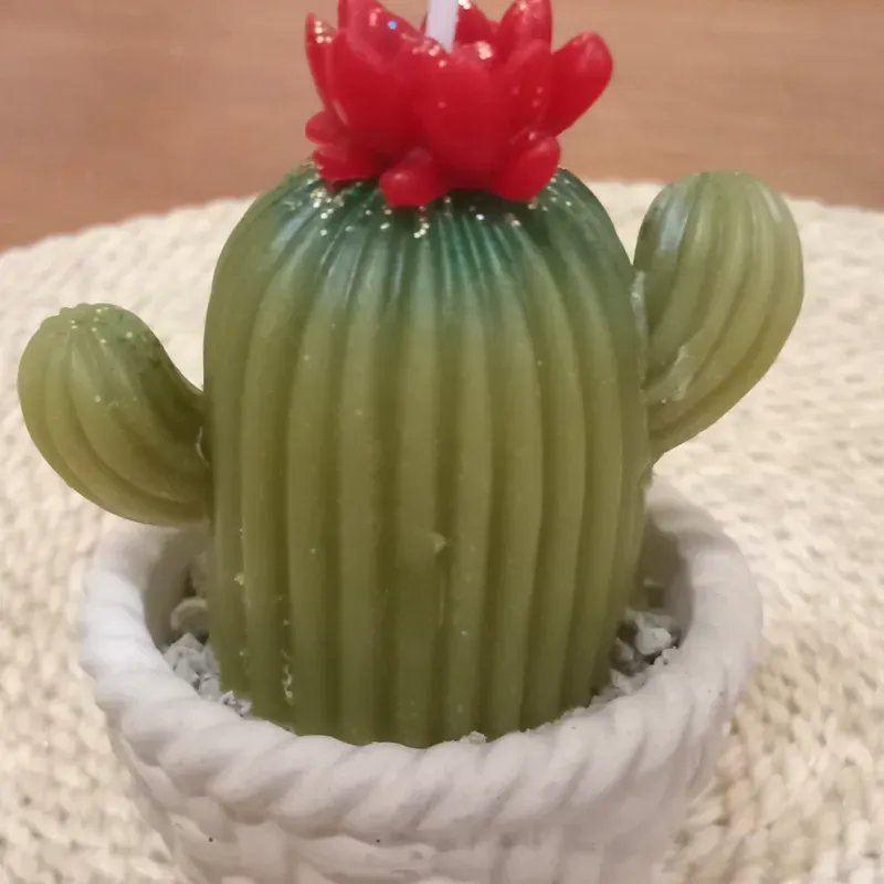 Cactus 4