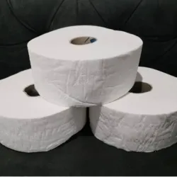Papel Sanitario
