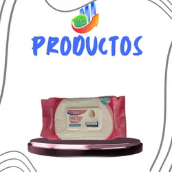Toallitas húmedas ( 100u)