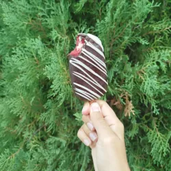 Paleta de trufas