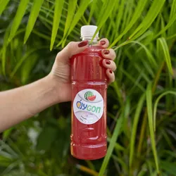 Jugo de melón (500ml)