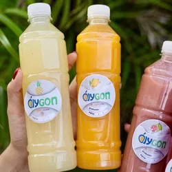 Jugo de piña (500ml)