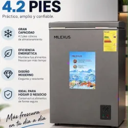 Nevera de 4.2 pies