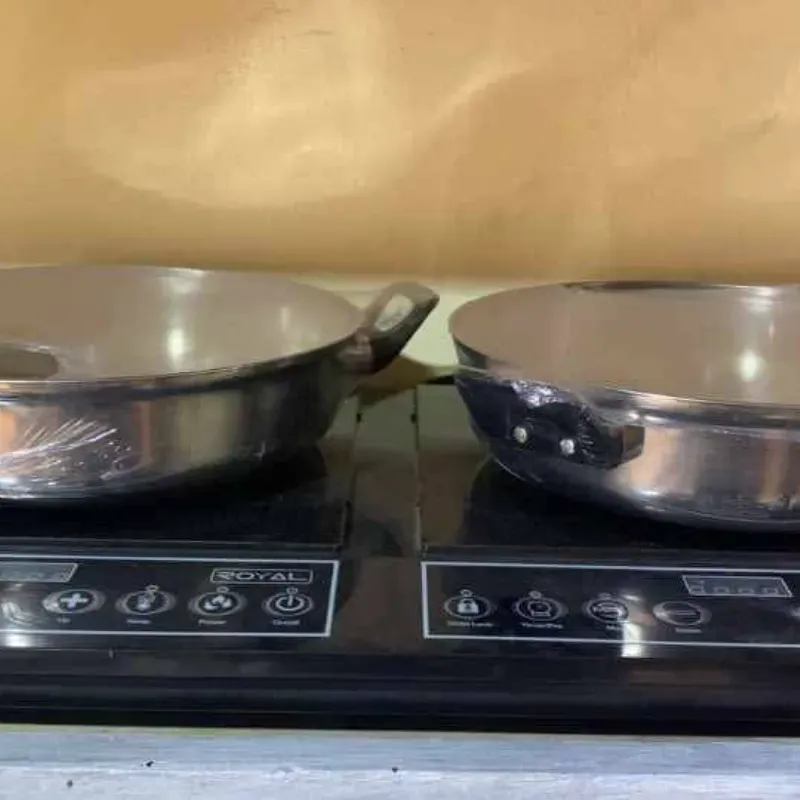 Cocina de Inducción de dos hornillas con cazuelas. Marca Royal 