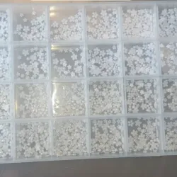 Flores de Recinas blancas 