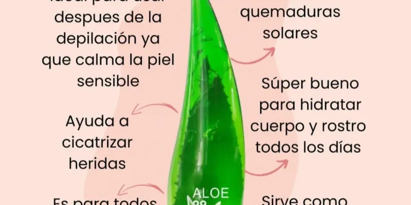 Gel Hidratante De Aloe De Vera 