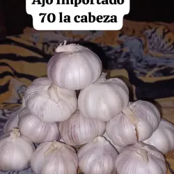 Ajo Importado
