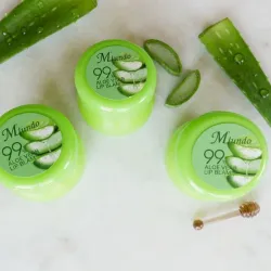 Bálsamo labial de aloe vera 🍯