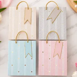 Bolsas de regalo 🛍