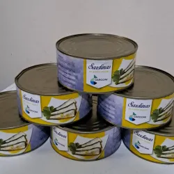 Sardinas en aceite vegetal 1kg 