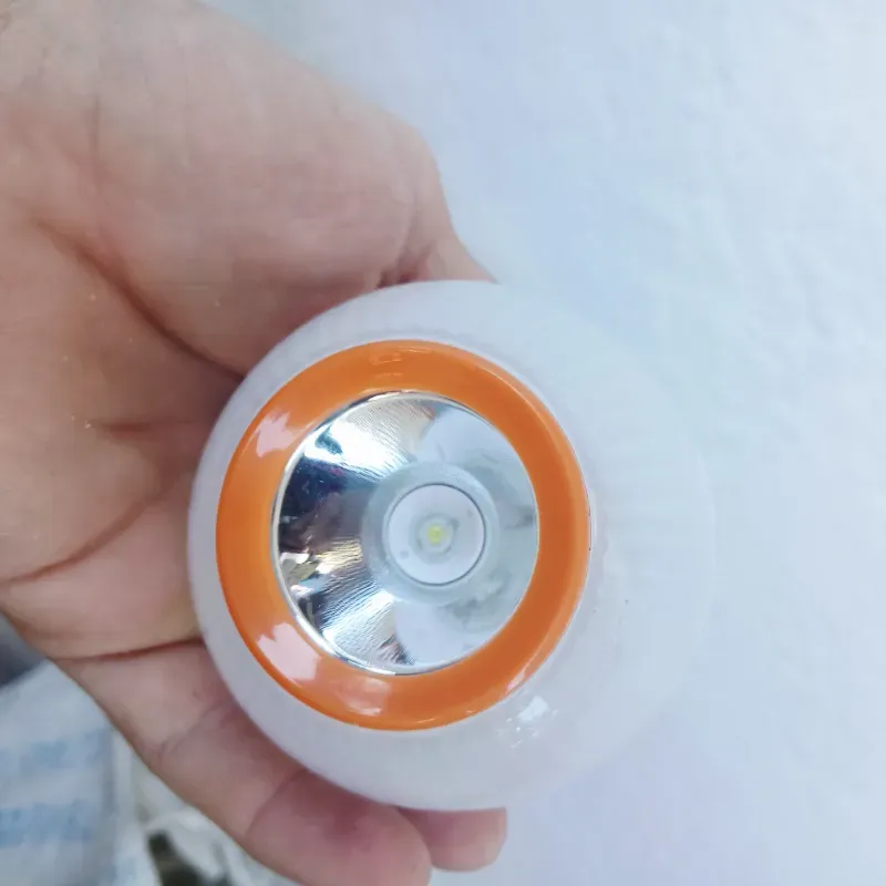 Bombillos Recargable 20w