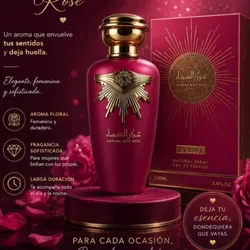 AURORA MIST Rose