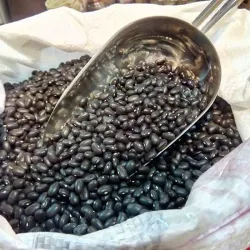 Fijoles