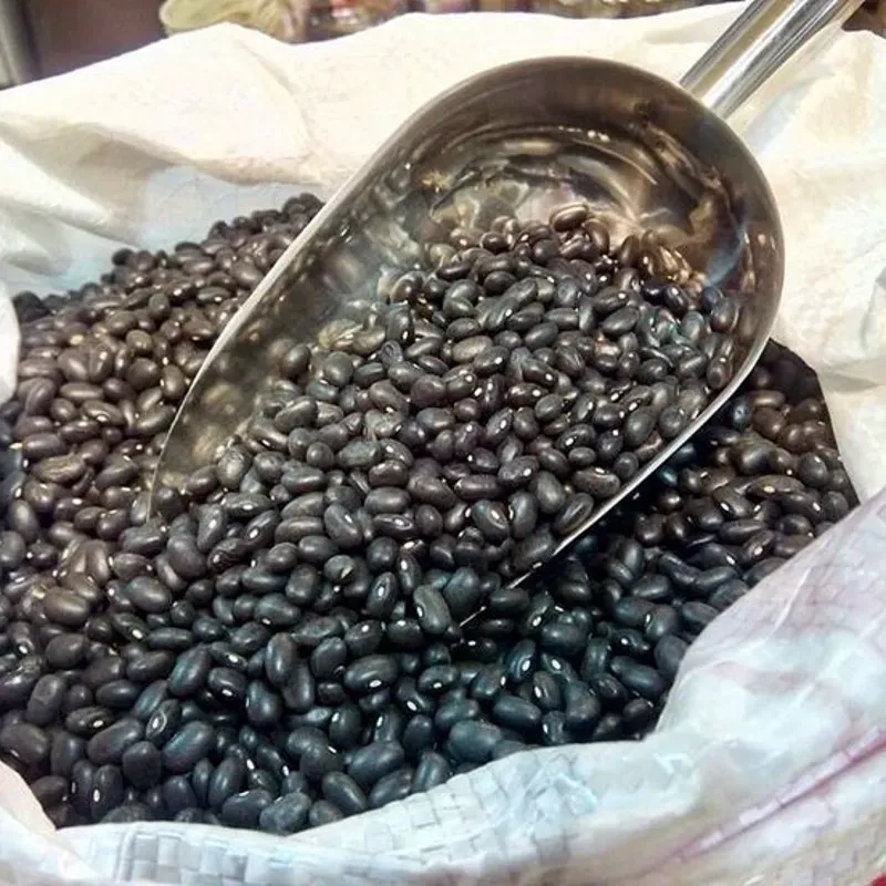 Fijoles