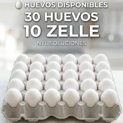 Huevos