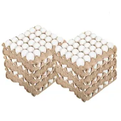 Huevos