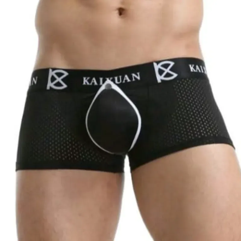 Bóxer Kaixuan negro