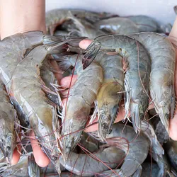 2 lb de Camarón 🦐 