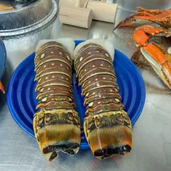 2 lb de Langosta 