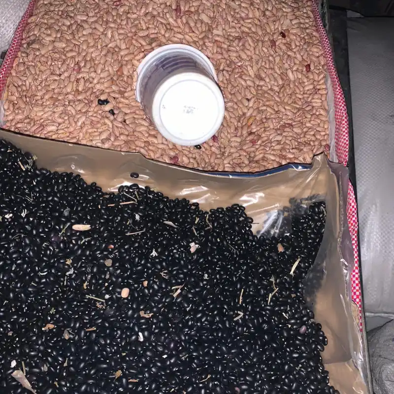 Jabas de Frijoles 