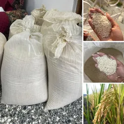 Quintal de Arroz 🌾 