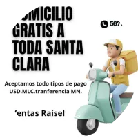Ventas Raisel