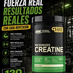 CREATINE MICRONIZED 120 servicios