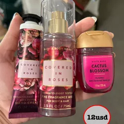 Mini set Covered In Roses