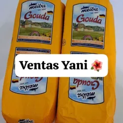 Queso gouda auténticos alemán 