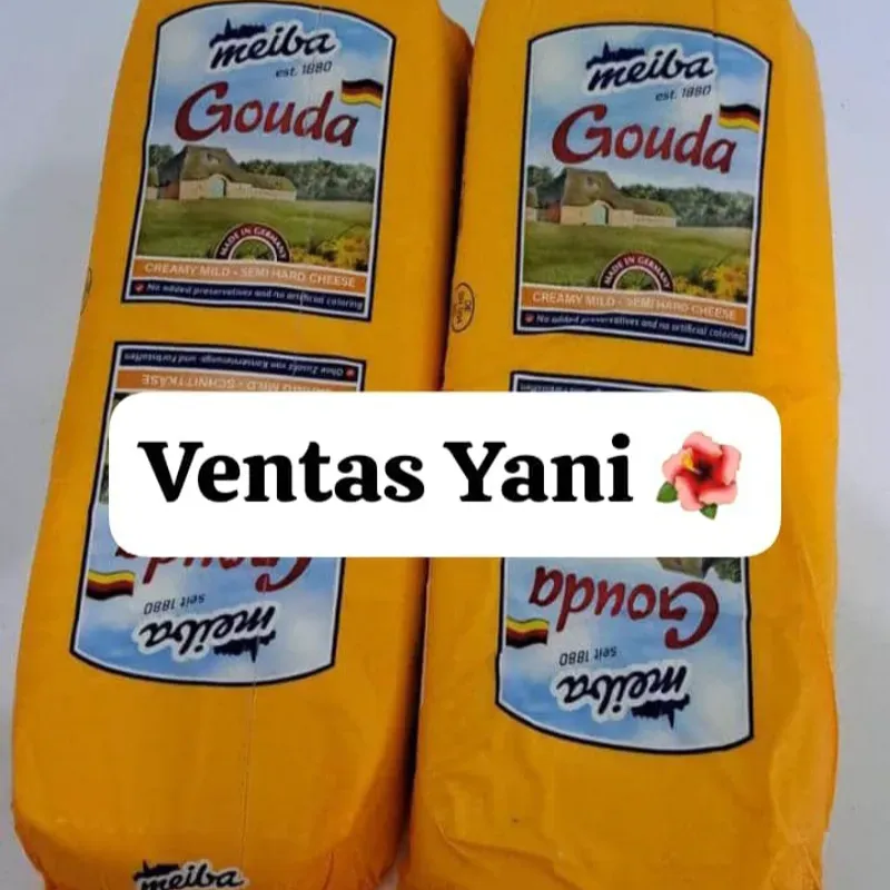 Queso gouda auténticos alemán 