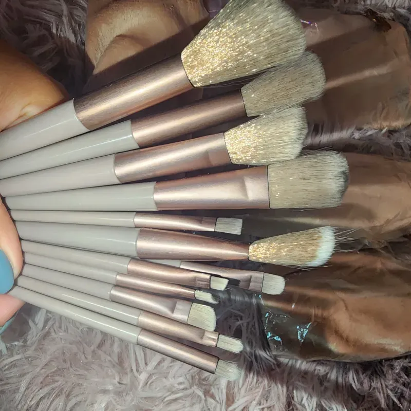 Brochas de 13 piezas para maquillajes 