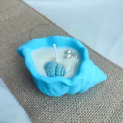 Concha de mar de cera